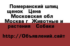 Померанский шпиц щенок › Цена ­ 27 000 - Московская обл., Москва г. Животные и растения » Собаки   